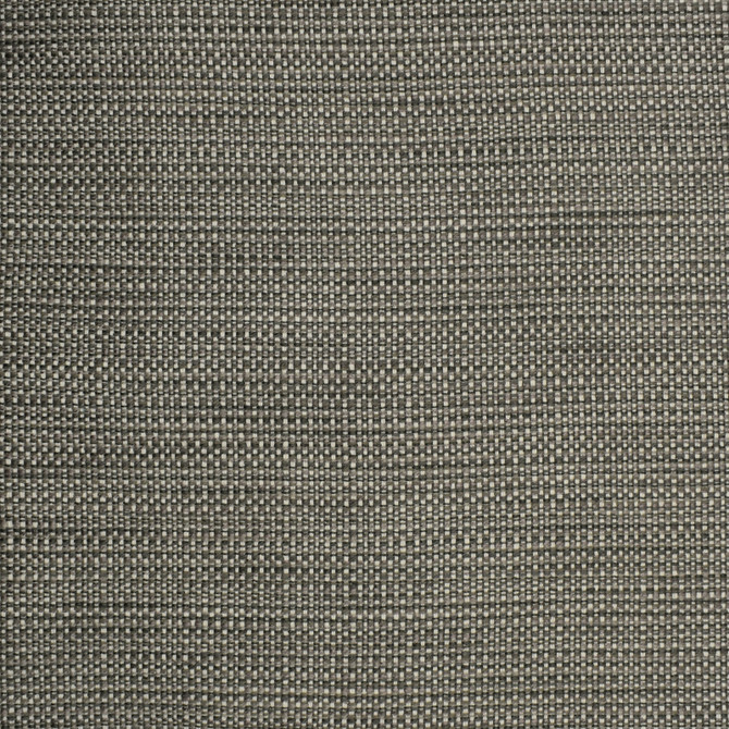 S2303 Chrome by Greenhouse Designer Fabric S26: Crypton Home Neutrals 57.56% Polyester, 21.95% Cotton, 20.07% Rayon, .42% Nylon USA 45,000 double rubs Crypton </p><p>Repeat: .188" H, .05" V 55" - Swanky Fabrics -