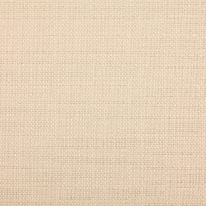 B5511 Salt by Greenhouse Designer Fabric 100% Polyester China 100,000 </p><p>Repeat: None 54" - Swanky Fabrics -