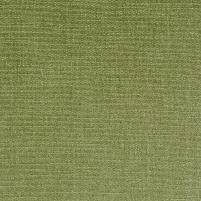 S3952 Aloe by Greenhouse Designer Fabric S68: Performance Chenille 62% Polyester, 38% Cotton India 51,000 double rubs Water & Soil Repellent </p><p>Repeat: None 54" - Swanky Fabrics -