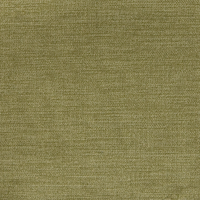 A8301 Sage by Greenhouse Designer Fabric E99: velvets by COLOR 90% Polyester, 10% Nylon China 100,000 double rubs </p><p>Repeat: None 58" - Swanky Fabrics -
