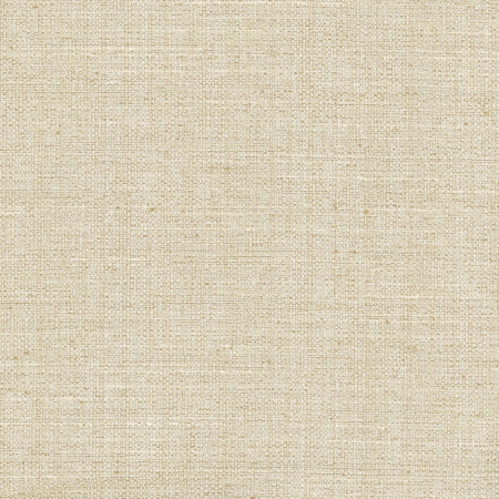 Rock Wall Wheat by Carole Designer Fabric Opal 83% Polyester, 12% Cotton, 5% Rayon India None 55" - Swanky Fabrics -