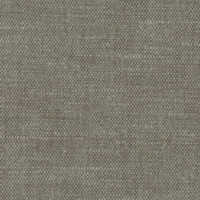 Bessarion Wolf by Carole Designer Fabric Prominence 71% Polyester, 29% Cotton India None 55" - Swanky Fabrics -