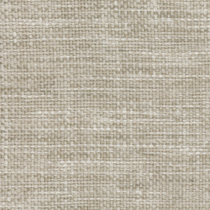 Lazarus Abalone by Carole Designer Fabric Prominence 54% Cotton, 46% Polyester India N/A None 54" - Swanky Fabrics -