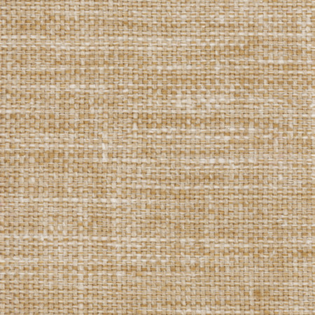 Lazarus Tuscan by Carole Designer Fabric Prominence 54% Cotton, 46% Polyester India None 54" - Swanky Fabrics -