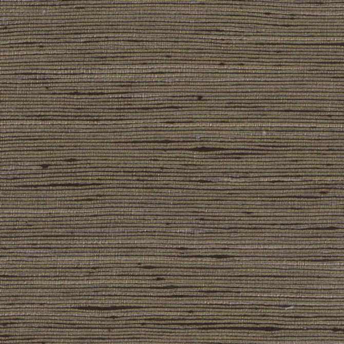 Absolution Charcoal by Carole Designer Fabric Synchrony 100% Polyester IFR Hybrid India None 54" - Swanky Fabrics -