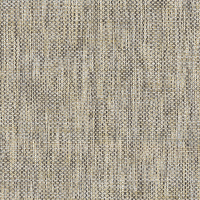 Breather Ash by Carole Designer Fabric Synchrony 100% Polyester Turkey 30,000 Wyzenbeek Double Rubs </p><p>Repeat: None 54" - Swanky Fabrics -
