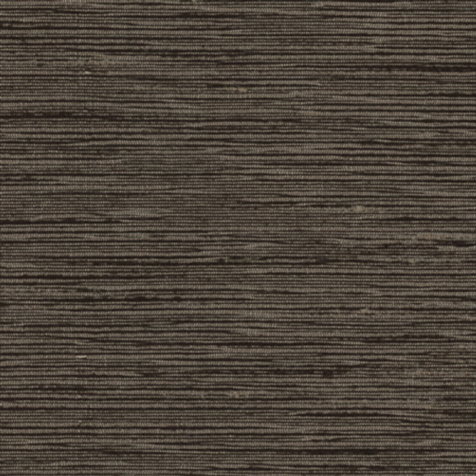 Optimism Charcoal by Carole Designer Fabric Synchrony 100% IFR Polyester India None 54" - Swanky Fabrics -