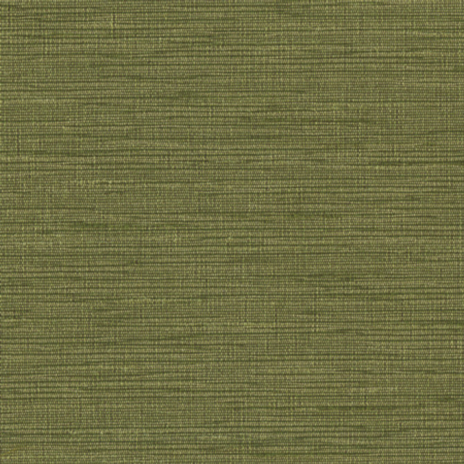 Optimism Forest by Carole Designer Fabric Synchrony 100% IFR Polyester India None 54" - Swanky Fabrics -