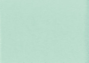 Shuster Seagreen by Norbar Designer Fabric BLISS 100% INHERENTLY FLAME INDIA 54 - Swanky Fabrics -