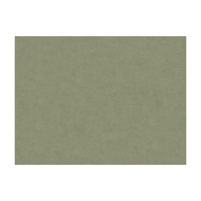 Charmant Velvet Stone by Brunschwig & Fils Fabric Brunschwig & Fils Fabric Charmant Velvet StoneFabric COTTON - 61%;VISCOSE - 39% Netherlands </p><p>Repeat: H: , V: 55 - Fabric Carolina -