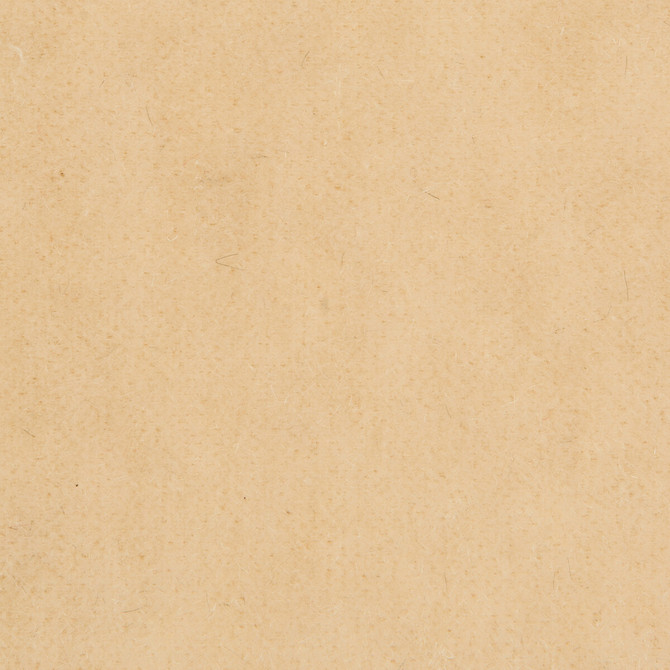 Bachelor Mohair Almond by Brunschwig & Fils Fabric Brunschwig & Fils Fabric Bachelor Mohair AlmondFabric COTTON - 54%;MOHAIR - 46% Netherlands </p><p>Repeat: H: , V: 55 - Fabric Carolina -