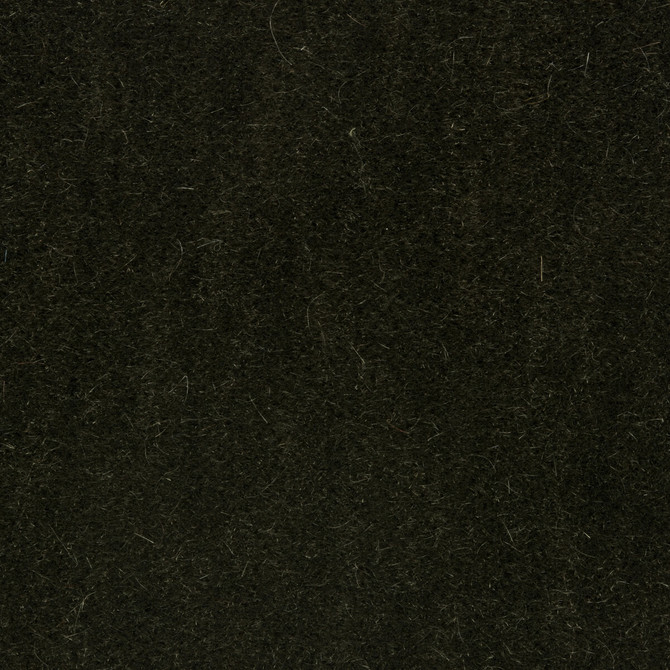 Bachelor Mohair Thyme by Brunschwig & Fils Fabric Brunschwig & Fils Fabric Bachelor Mohair ThymeFabric COTTON - 54%;MOHAIR - 46% Netherlands </p><p>Repeat: H: , V: 55 - Fabric Carolina -