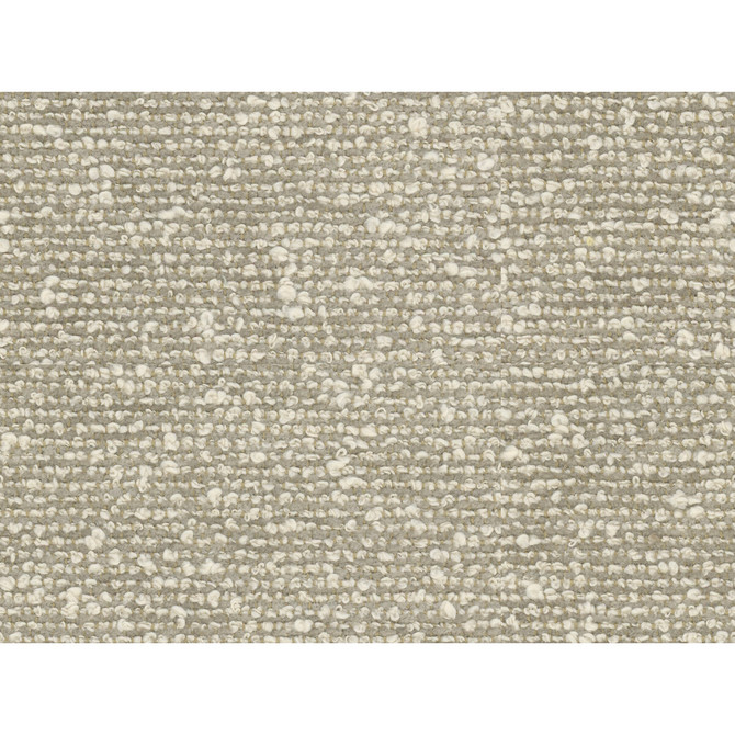 Vanoise Chenille Grey by Brunschwig & Fils Fabric Brunschwig & Fils Fabric Vanoise Chenille GreyFabric CHAMBERY TEXTURES COTTON - 62%;RAYON - 38% United States </p><p>Repeat: H: 0.25, V: 0.12 54 - Fabric Carolina -