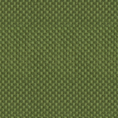 New Meymac Check Velvet Vert by Brunschwig & Fils Fabric Brunschwig & Fils Fabric New Meymac Check Velvet VertFabric LINEN - 58%;COTTON - 42% France </p><p>Repeat: H: , V: 51 - Fabric Carolina -