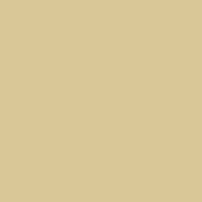 BR-81079.C.0 by Brunschwig & Fils Fabric Brunschwig & Fils Fabric BR-81079.C.0Fabric COTTON - 68%;SILK - 32% France </p><p>Repeat: H: , V: 50 - Fabric Carolina -