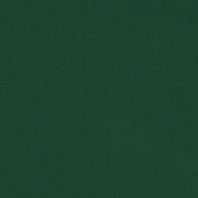 Ninon Taffetas Emerald by Brunschwig & Fils Fabric Brunschwig & Fils Fabric Ninon Taffetas EmeraldFabric SILK - 100% France </p><p>Repeat: H: , V: 50 - Fabric Carolina -