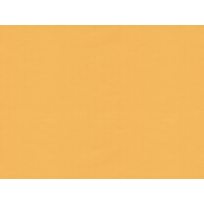 BR-81081.M.0 by Brunschwig & Fils Fabric Brunschwig & Fils Fabric BR-81081.M.0Fabric SILK - 100% France </p><p>Repeat: H: , V: 50 - Fabric Carolina -