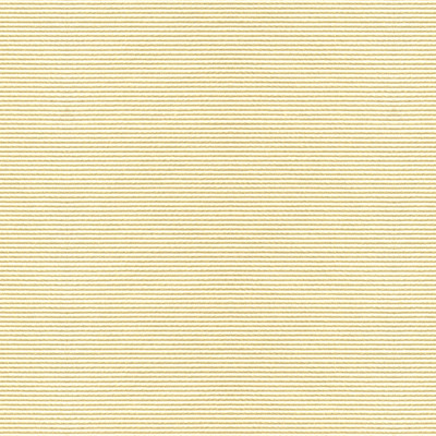 Bosporus Ottoman Texture Cream by Brunschwig & Fils Fabric Brunschwig & Fils Fabric Bosporus Ottoman Texture CreamFabric VISCOSE - 55%;COTTON - 45% France </p><p>Repeat: H: , V: 56 - Fabric Carolina -