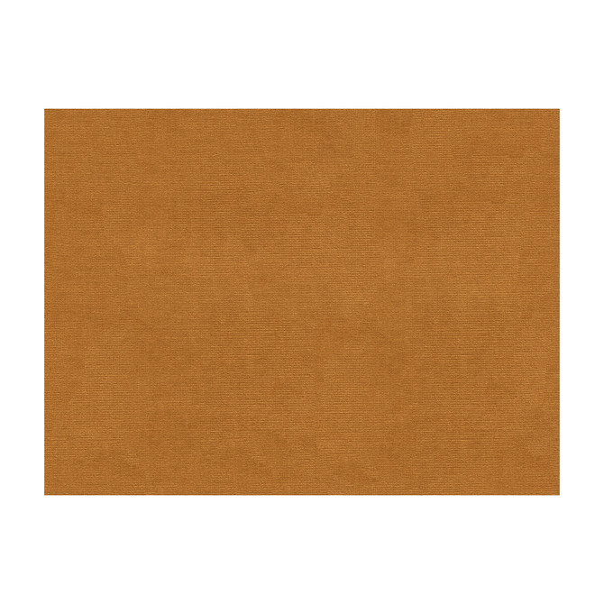 Lubeck Cotton Velvet Honey by Brunschwig & Fils Fabric Brunschwig & Fils Fabric Lubeck Cotton Velvet HoneyFabric COTTON - 100% Netherlands </p><p>Repeat: H: , V: 55 - Fabric Carolina -