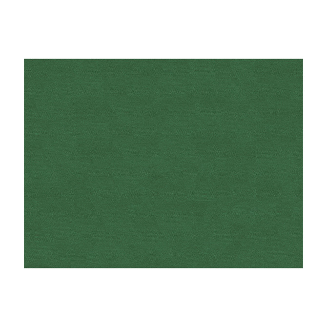 Lubeck Cotton Velvet Ivy by Brunschwig & Fils Fabric Brunschwig & Fils Fabric Lubeck Cotton Velvet IvyFabric COTTON - 100% Netherlands </p><p>Repeat: H: , V: 55 - Fabric Carolina -