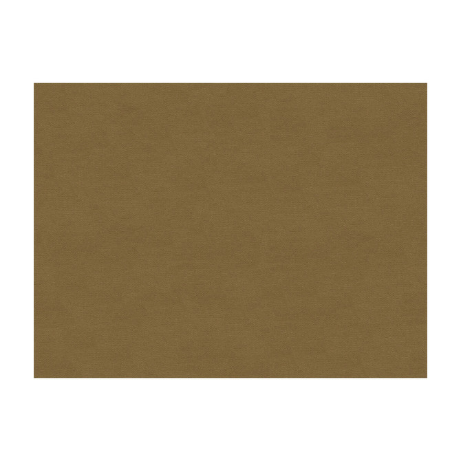 Lubeck Cotton Velvet Fawn by Brunschwig & Fils Fabric Brunschwig & Fils Fabric Lubeck Cotton Velvet FawnFabric COTTON - 100% Netherlands </p><p>Repeat: H: , V: 55 - Fabric Carolina -