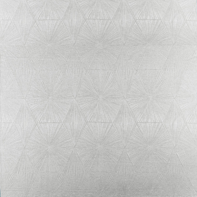 Blaize Pewter by Clarke And Clarke Fabric Clarke And Clarke Fabric Blaize PewterFabric CLARKE & CLARKE GEOMO POLYESTER - 92%;COTTON - 8% India </p><p>Repeat: H: 13.5, V: 26.78 54 - Fabric Carolina -