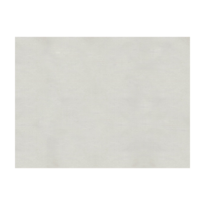 Sukhothai Pewter by Brunschwig & Fils Fabric Brunschwig & Fils Fabric Sukhothai PewterFabric JAGTAR SILK - 100% Thailand </p><p>Repeat: H: 0, V: 0 55 - Fabric Carolina -