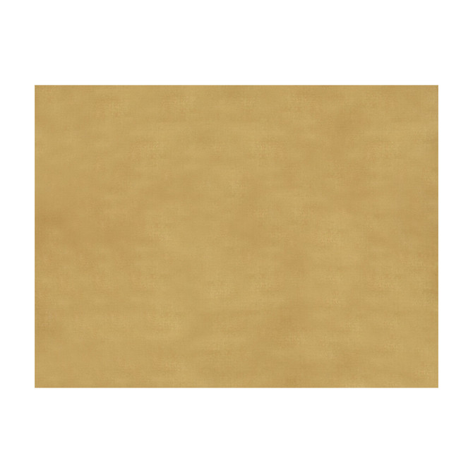 Sukhothai Mustard Gold by Brunschwig & Fils Fabric Brunschwig & Fils Fabric Sukhothai Mustard GoldFabric JAGTAR SILK - 100% Thailand </p><p>Repeat: H: 0, V: 0 55 - Fabric Carolina -