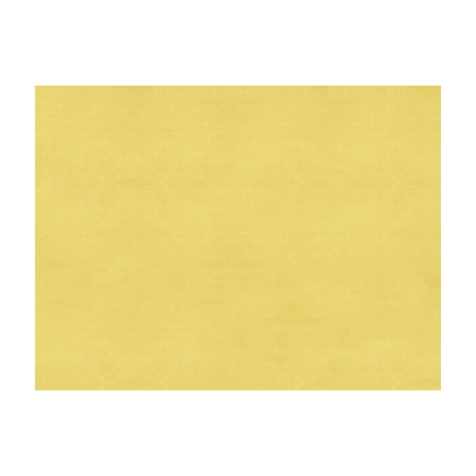 Sukhothai Mellow Yellow by Brunschwig & Fils Fabric Brunschwig & Fils Fabric Sukhothai Mellow YellowFabric JAGTAR SILK - 100% Thailand </p><p>Repeat: H: 0, V: 0 55 - Fabric Carolina -