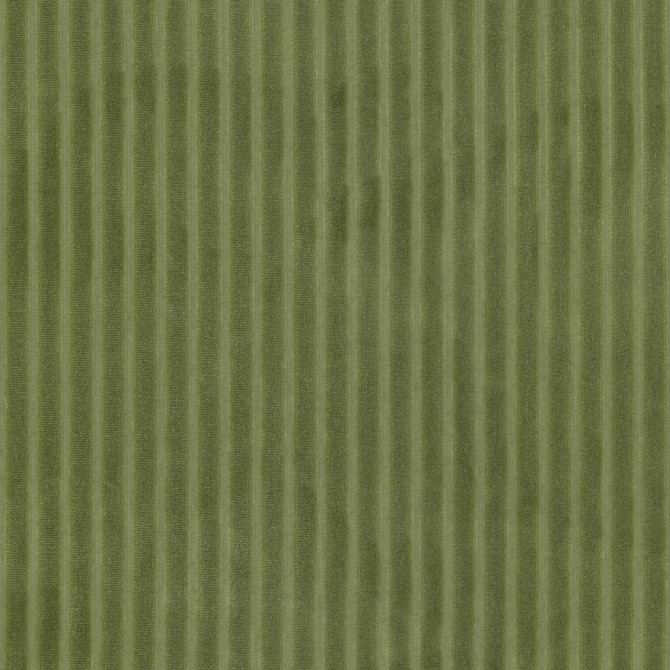 Blink 2 Chive by Stout Fabric Stout Fabric Blink 2 ChiveFabric RAINBOW LIBRARY PEAR/JUNGLE 100%POL CHINA </p><p>Repeat: H: 0.750, V: 0.000 57 in - Fabric Carolina -