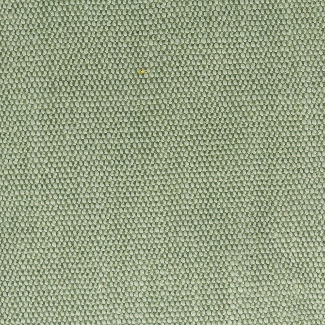 Dimitri 1 Seedling by Stout Designer Fabric LIVING IS EASY SPRING/SPA 80%POL 20%SVI CHINA FLAME RETARDANT-U.F.A.C. CLASS 1 FLAME RETARDANT-N.F.P.A. 260A CLASS 1 CATB 117-2013 WYZENBEEK 15 000 DOUBLE RUB WEAR TEST (HEAVY DUTY) Horizontal: 0.000 and Vertical: 0.000 56 in - Swanky Fabrics -