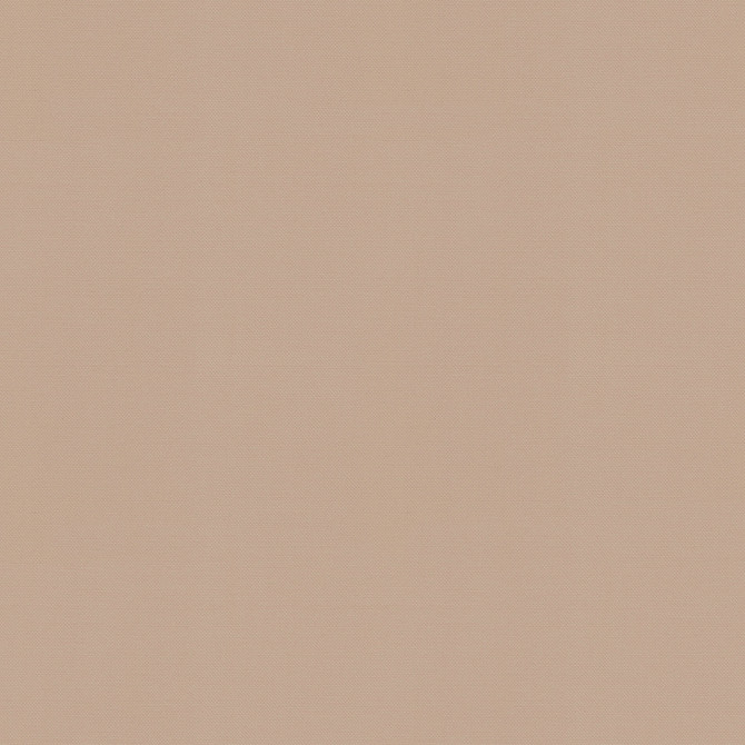 Vernon Shell 410938 by PKL Studio Designer Fabric - 100% Cotton INDIA 21000 Horizontal: 0 and Vertical: 0 55 - Swanky Fabrics -