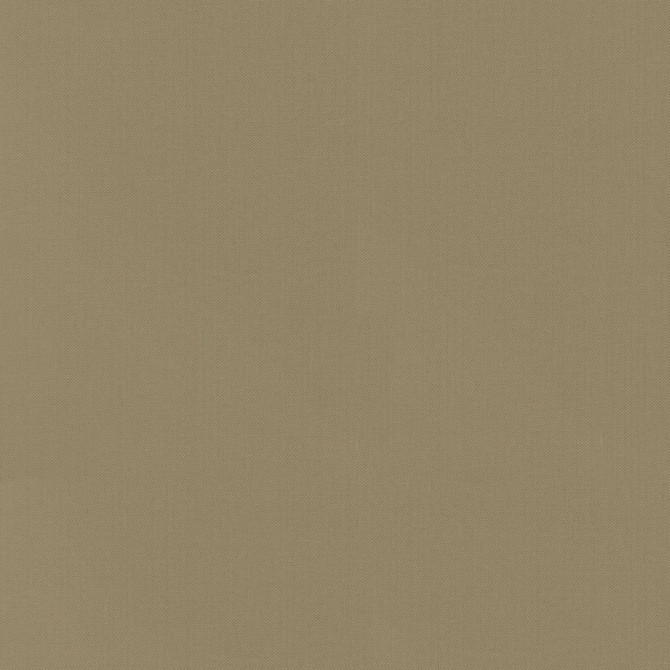 Vernon Safari 410951 by PKL Studio Designer Fabric 100% Cotton India 21000 Horizontal: 0 and Vertical: 0 55 - Swanky Fabrics -