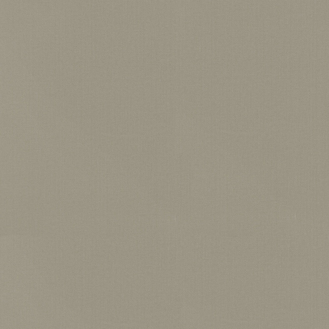 Vernon Limstone 410958 by PKL Studio Designer Fabric - 100% Cotton INDIA 21000 Horizontal: 0 and Vertical: 0 55 - Swanky Fabrics -