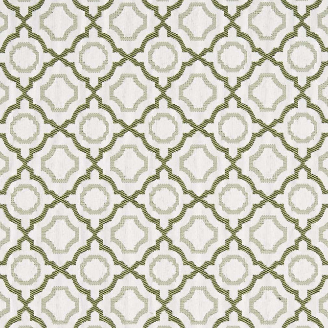 D2559 Avocado by Charlotte Designer Fabric Veranda 100% Polypropylene USA Exceeds 60,000 Wyzenbeek Rubs </p><p>Repeat: Horizontal 3.5" x Vertical 3.5" 54 Inches - Swanky Fabrics -
