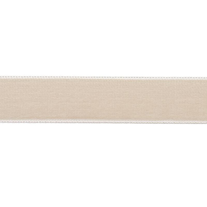 Velvet Tape Medium Dove 80941 by Schumacher Designer Trim Perfect Basics: Velvet Tapes - Swanky Fabrics -