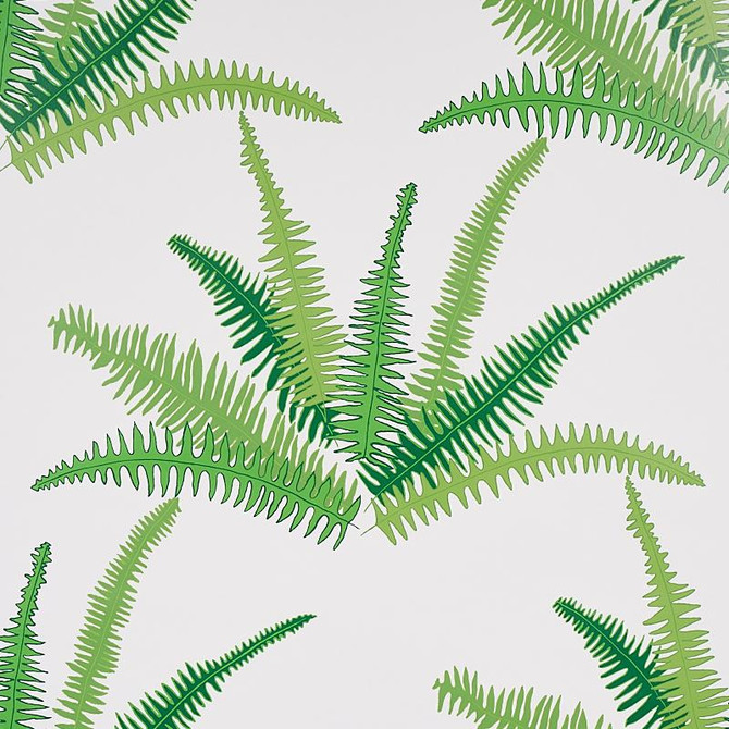 Canyon Ferns Jungle 5012621 by Schumacher Designer Wallpaper Cristina Buckley 27.0" - Swanky Fabrics -