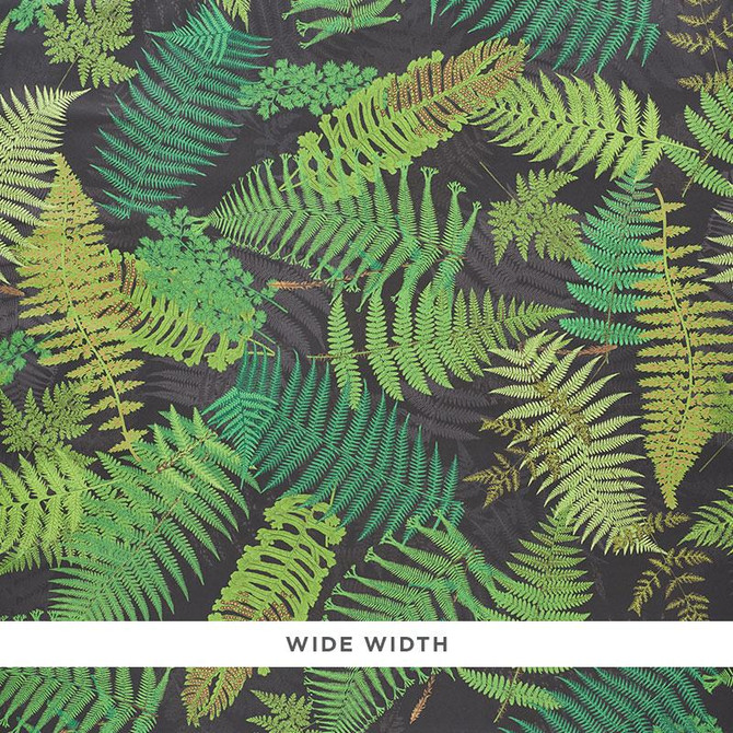 Fernarium Black & Leaf 5009191 by Schumacher Designer Wallpaper Clements Ribeiro 53.75" - Swanky Fabrics -