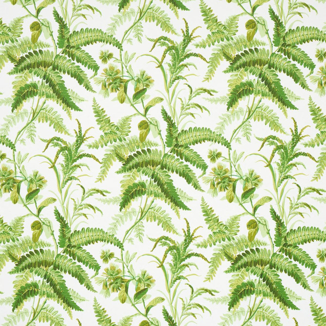 Myers Fern Tropical 5013231 by Schumacher Designer Wallpaper Schumacher Classics 54.5" - Swanky Fabrics -