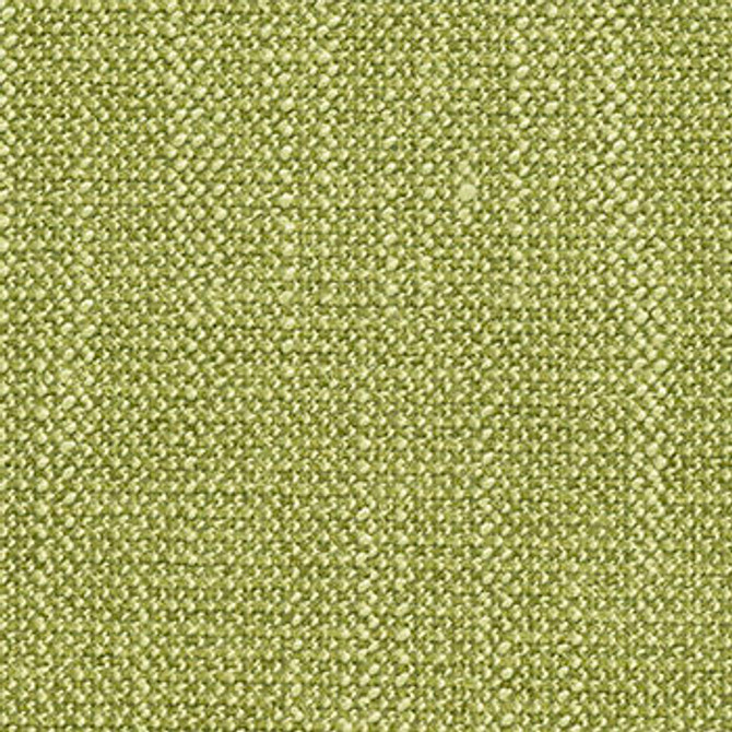 Homestead Moss by Crypton Designer Fabric See sample 100% Polyester  50000 Horizontal: Not Applicable and Vertical: Not Applicable 54"  - Swanky Fabrics -