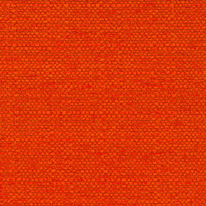 Ozone Kumquat by Crypton Designer Fabric See sample 100% Polyester  50000 Horizontal: Not Applicable and Vertical: Not Applicable 54"  - Swanky Fabrics -