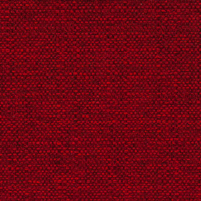 Ozone Dahlia by Crypton Designer Fabric See sample 100% Polyester  50000 Horizontal: Not Applicable and Vertical: Not Applicable 54"  - Swanky Fabrics -