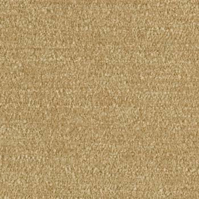 Velour Wheat by Crypton Designer Fabric See sample 100% Polyester  100000 Horizontal: Not Applicable and Vertical: Not Applicable 54"  - Swanky Fabrics -