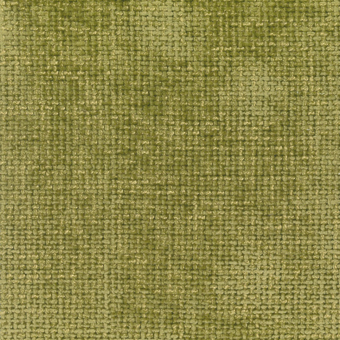 S5363 Ivy by Greenhouse Designer Fabric 100% Polyester China 50,000 </p><p>Repeat: None 55" - Swanky Fabrics -