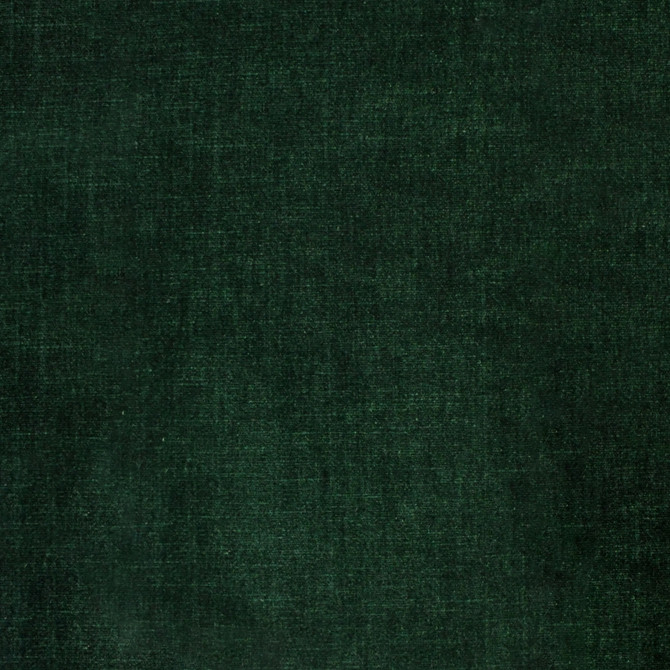 S4783 Jungle by Greenhouse Designer Fabric S68: Performance Chenille 62% Polyester, 38% Cotton India 51,000 double rubs Water & Soil Repellent </p><p>Repeat: None 54" - Swanky Fabrics -