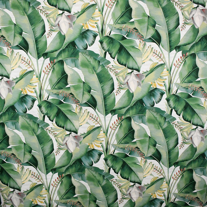 S5085 Aloe by Greenhouse Designer Fabric M11: Memos by Color 100% Cotton Peru 17,000 double rubs </p><p>Repeat: 13.5" H, 25.25" V 54" - Swanky Fabrics -