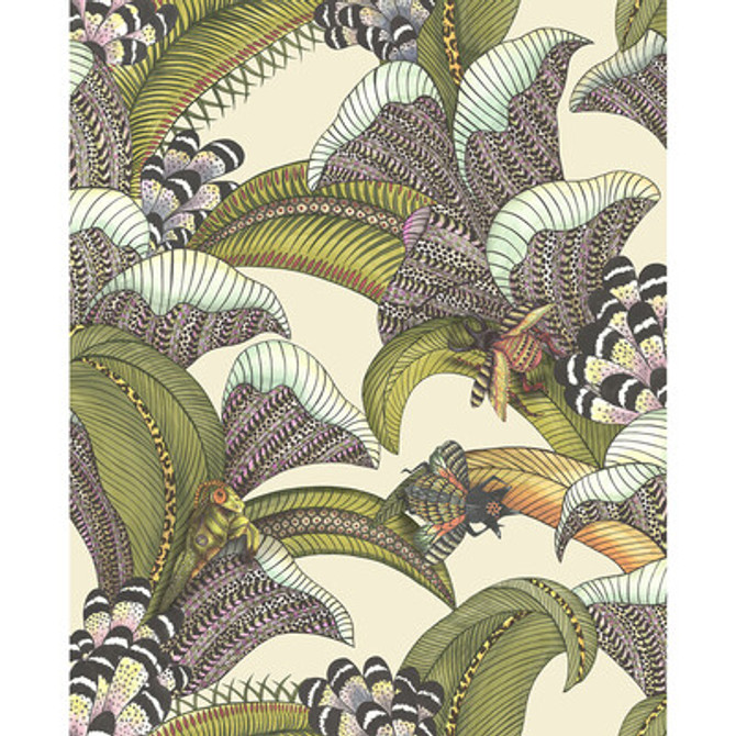 119/1001.CS.0 by Cole & Son Wallcovering Cole & Son Wallcovering 119/1001.CS.0Wallcovering COLE & SON ARDMORE-JABULA NON WOVEN - 100% United Kingdom </p><p>Repeat: H: 20.5, V: 25.2 20.5 - Fabric Carolina -