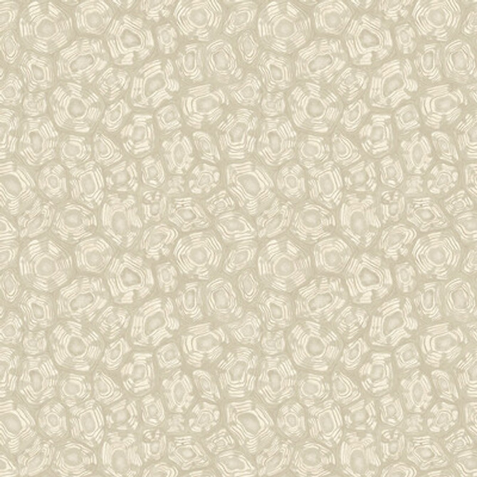 119/4021.CS.0 by Cole & Son Wallcovering Cole & Son Wallcovering 119/4021.CS.0Wallcovering COLE & SON ARDMORE-JABULA NON WOVEN - 100% United Kingdom </p><p>Repeat: H: 20.5, V: 20.5 20.5 - Fabric Carolina -