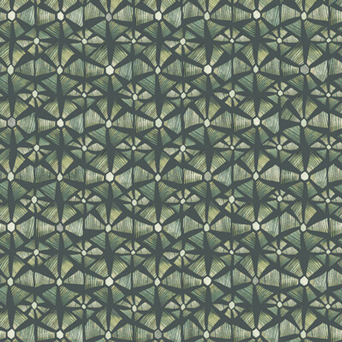 119/6030.CS.0 by Cole & Son Wallcovering Cole & Son Wallcovering 119/6030.CS.0Wallcovering COLE & SON ARDMORE-JABULA NON WOVEN - 100% United Kingdom </p><p>Repeat: H: 20.5, V: 25.2 20.5 - Fabric Carolina -