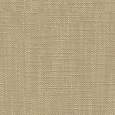 31498.16.0 by Kravet Fabric Kravet Fabric 31498.16.0Fabric PERFECT PLAINS POLYESTER - 100% China </p><p>Repeat: H: , V: 57 - Fabric Carolina -